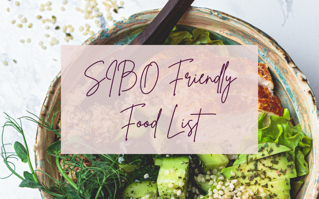 A Comprehensive SIBO Diet List PDF: Calming Your Symptoms Whilst Nourishing Your Gut